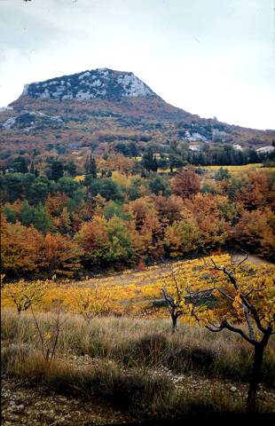 Dentelles