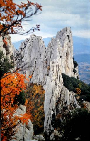 Dentelles