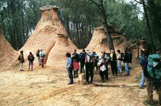 Demoiselles coiff�es