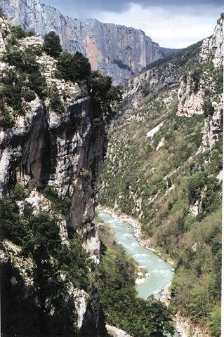 Verdon