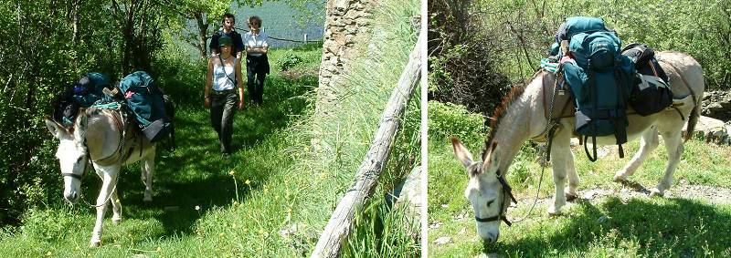 Anes de randonn�es