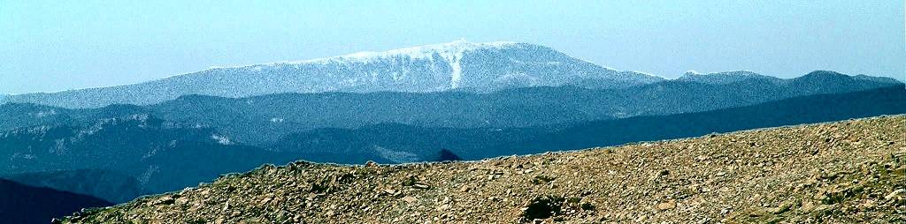Le Ventoux vu depuis le Vieux Chaillol