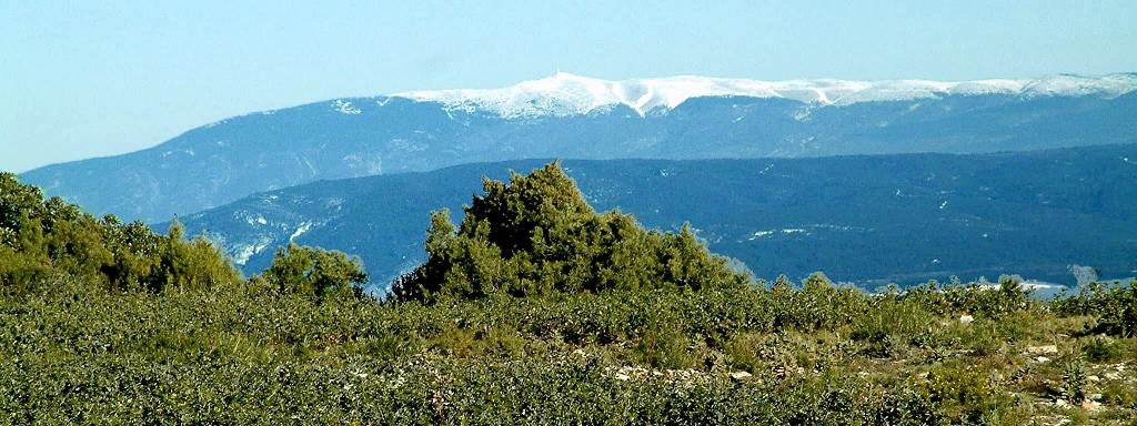 Ventoux 1
