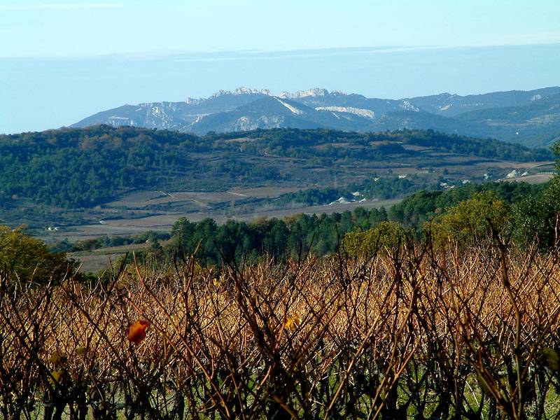 Dentelles de Montmirail