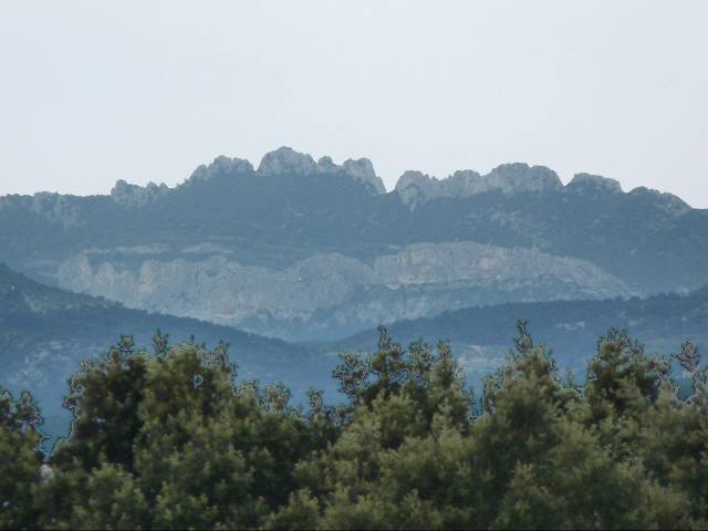 Dentelles de Montmirail