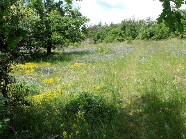 Appel � la sieste...