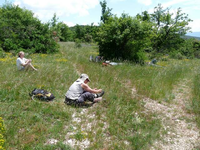 Appel � la sieste...