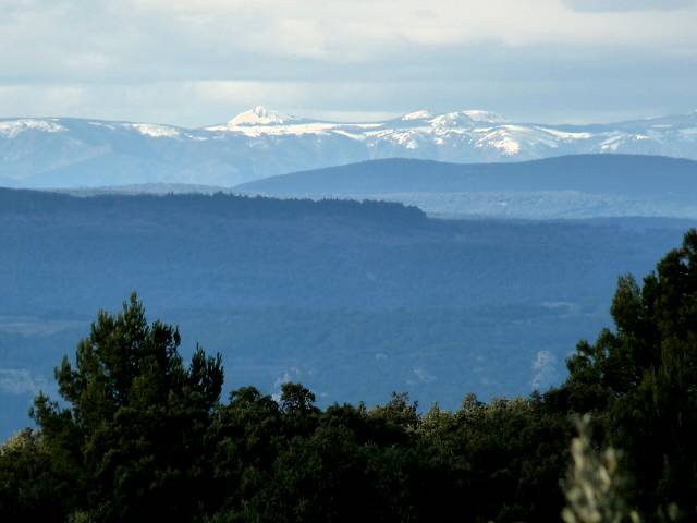 Cévennes