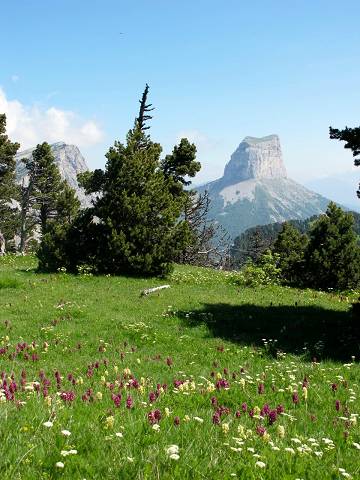 Vers Chaumailloux - Photo de Jean-Claude