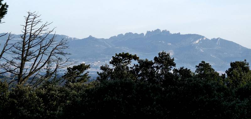 Dentelles