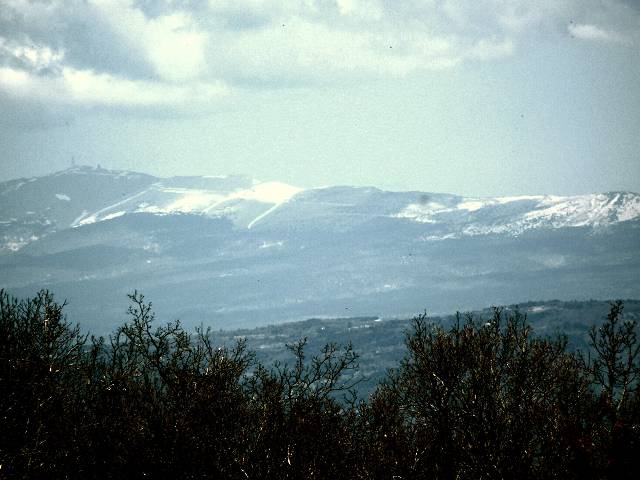 Ventoux
