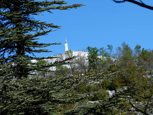 Ventoux