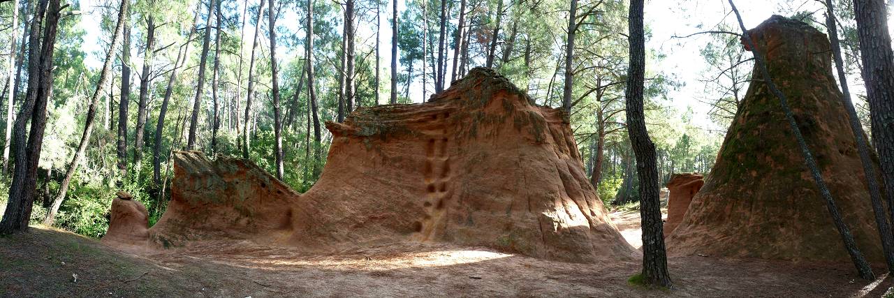 Demoiselles Coiff�es