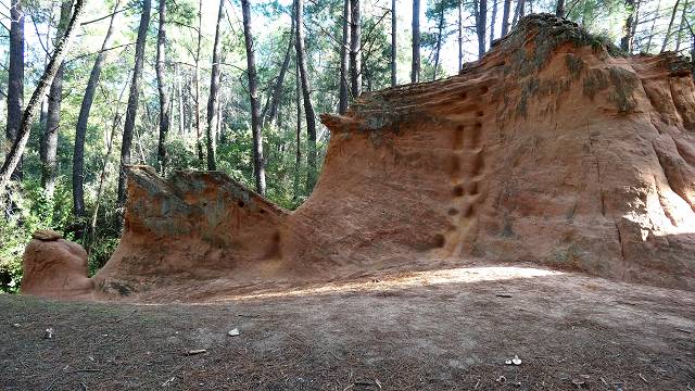 Demoiselles Coiff�es