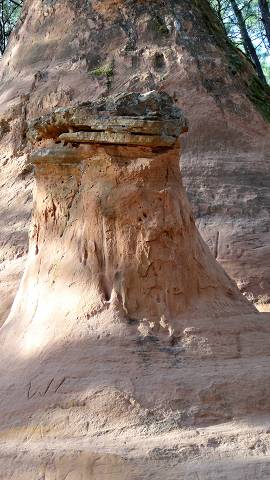 Demoiselles Coiff�es