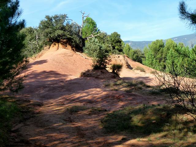 Demoiselles Coiff�es