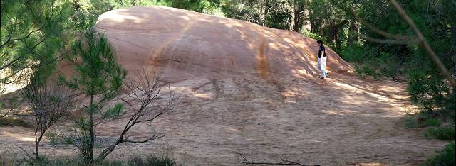 Demoiselles Coiff�es