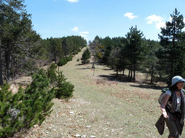 Cr�te est du Ventoux