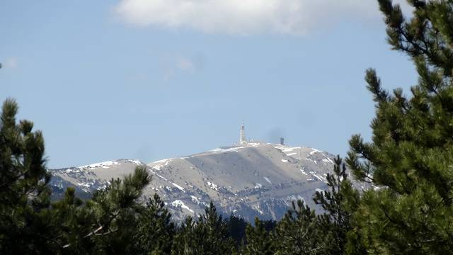 Cr�te est du Ventoux