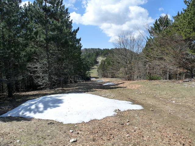 Cr�te est du Ventoux