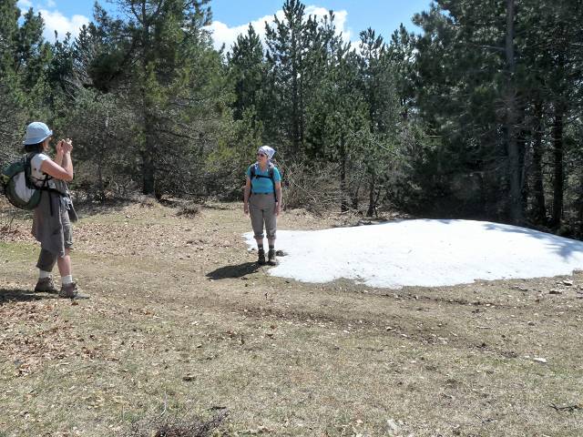 Cr�te est du Ventoux