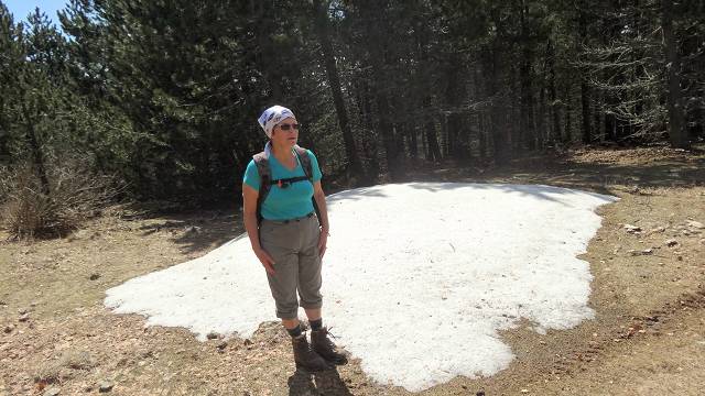 Cr�te est du Ventoux
