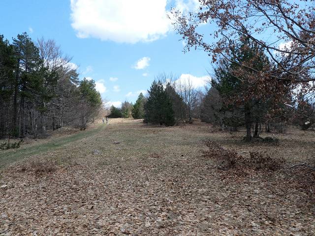 Cr�te est du Ventoux