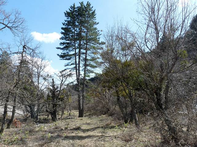 Combe de la Font de Margot