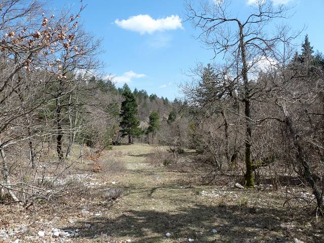 Combe de la Font de Margot