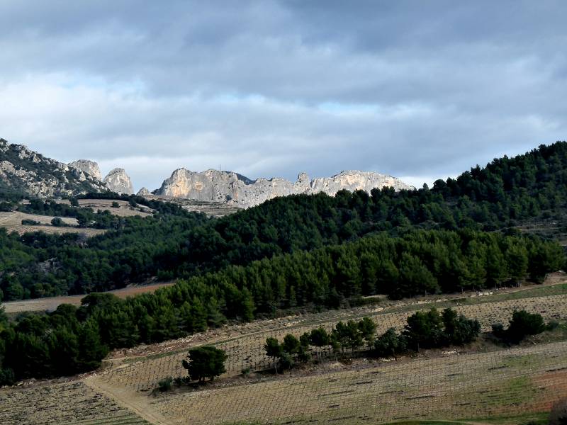 Dentelles