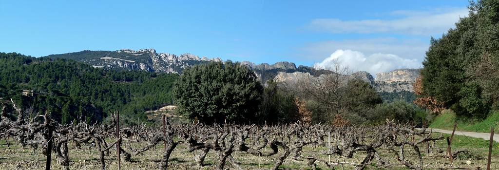 Dentelles