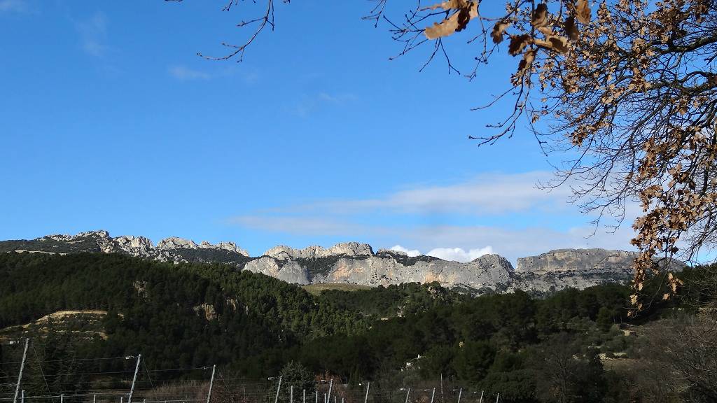 Dentelles