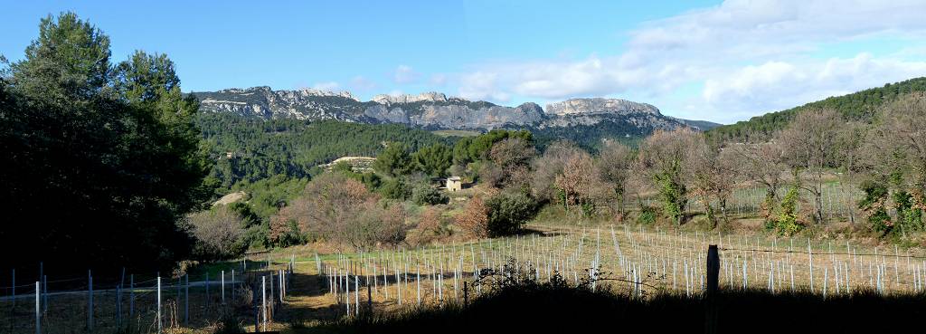 Dentelles