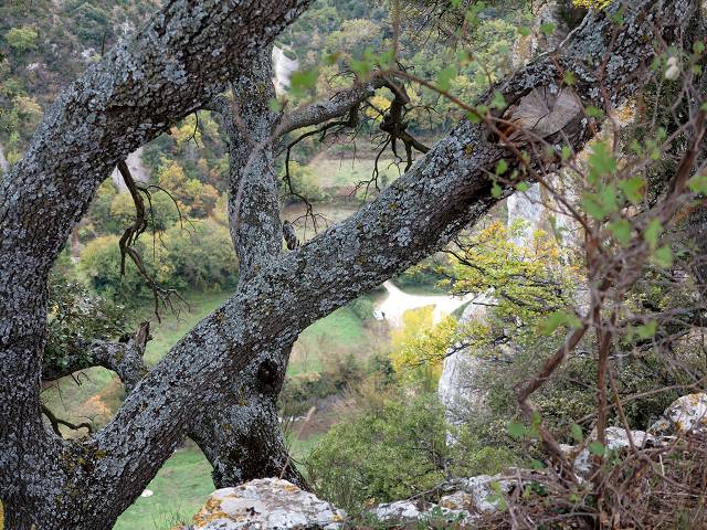 Vallon de l'Aiguebrun