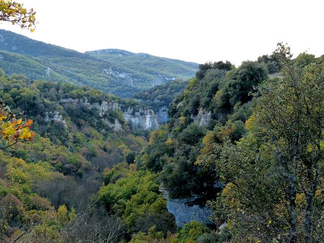 Vallon de l'Aiguebrun