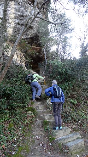 Habitat troglodytique