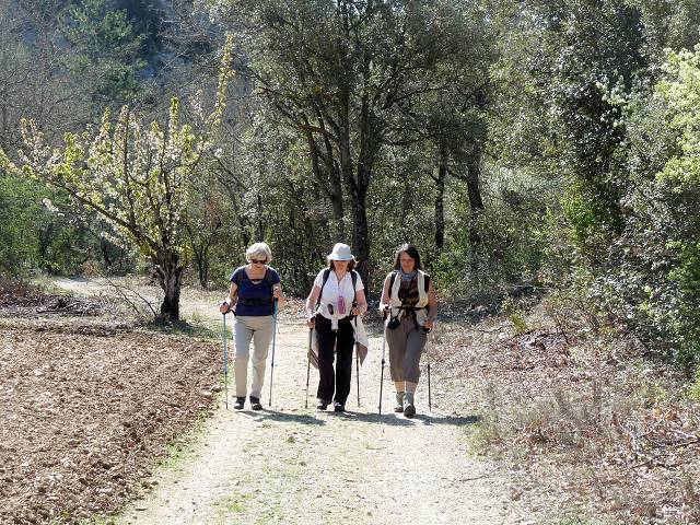 Combe de Fontjouvale