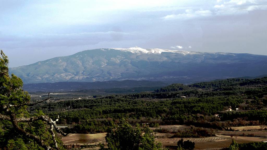 ventoux