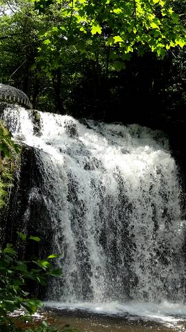 Cascade Bois de Chaux