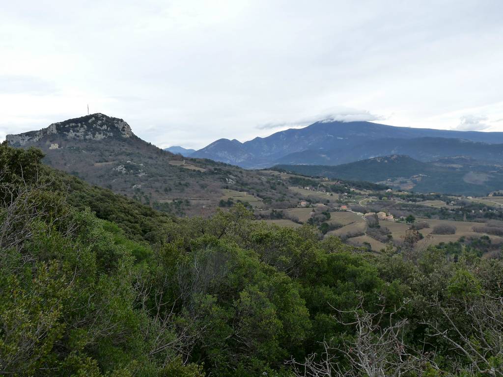 Dentelles
