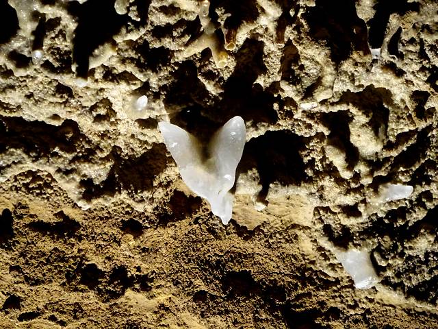 Grotte de Fontrabiouse