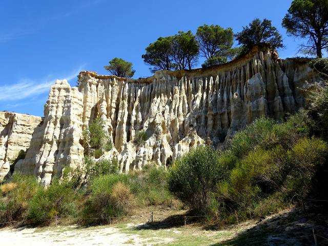 Les Orgues d'Ille-sur-T�t