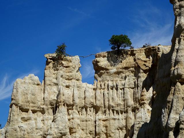 Les Orgues d'Ille-sur-T�t