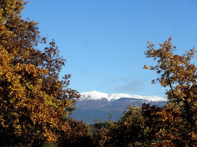 Ventoux