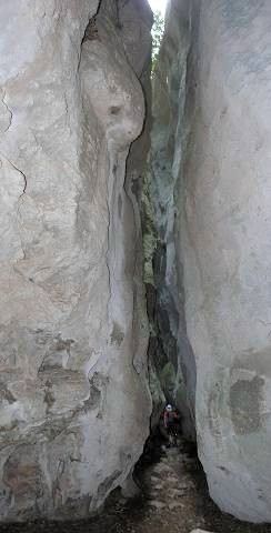 file:///D:/Randonnees/Site/Rando45_2019_2020/20200601_Regalon/20200601_Regalon.html