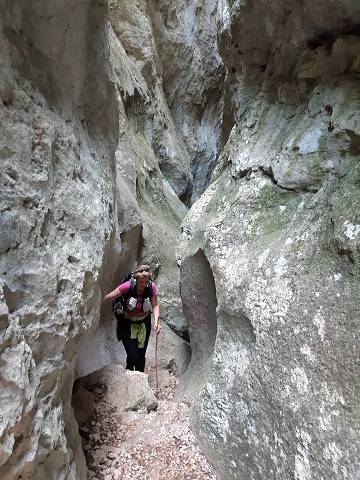 file:///D:/Randonnees/Site/Rando45_2019_2020/20200601_Regalon/20200601_Regalon.html