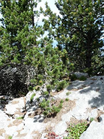 Rochers de Cachillan