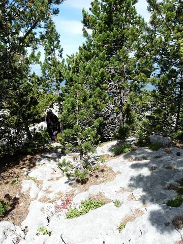 Rochers de Cachillan
