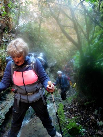 Vallat du Puits Neuf