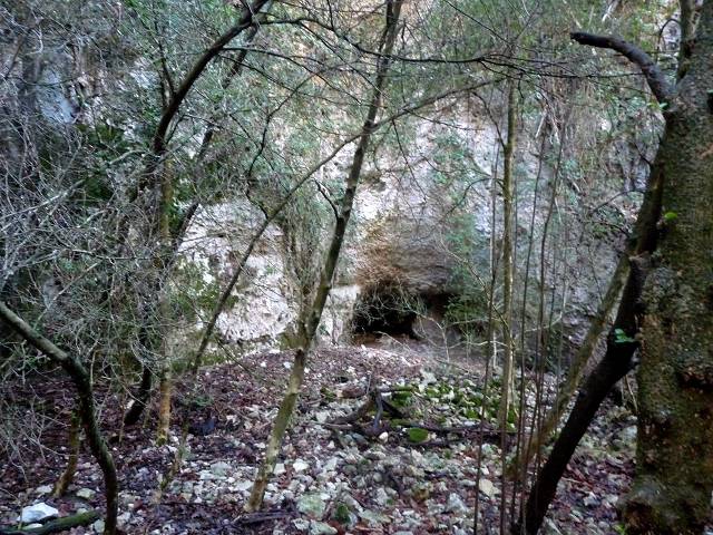 Vallat du Puits Neuf